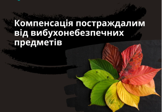 Допомога постраждалим від вибухонебезпечних предметів особам