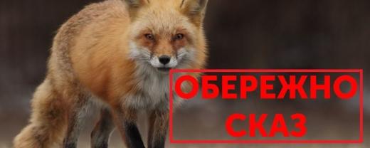 Обережно сказ!